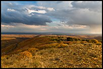 Expansive view from Park Point. Mesa Verde National Park, Colorado, USA. (color)
