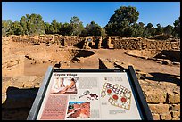 Interpretive sign, Coyote Village. Mesa Verde National Park ( color)