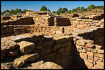 Mesa top  Ancestral Puebloan ruin. Mesa Verde National Park ( color)