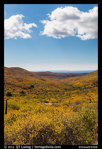 Clouds and landscape with fall colors. Mesa Verde National Park, Colorado, USA.