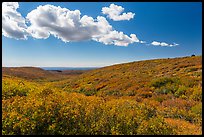 Clouds and slopes with autumn colors. Mesa Verde National Park ( color)