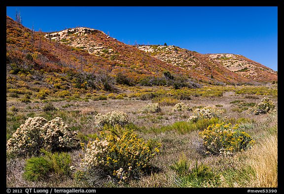 Pratter Canyon in autumn. Mesa Verde National Park (color)