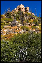 Outcrop with shurbs in fall foliage. Mesa Verde National Park ( color)