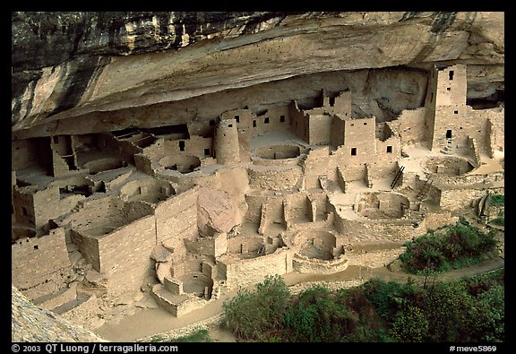 Cliff Palace sheltered by rock overhang. Mesa Verde National Park (color)