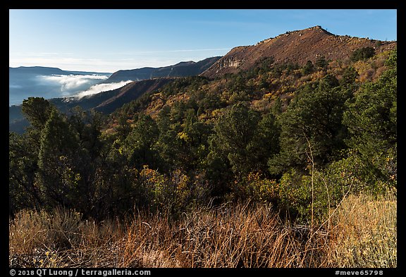 Early morning, Mancos Valley Overlook. Mesa Verde National Park (color)