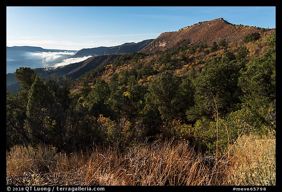 Early morning, Mancos Valley Overlook. Mesa Verde National Park (color)