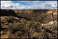 Canyon from rim, Wetherill Mesa. Mesa Verde National Park ( color)