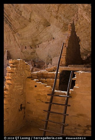 Ladder and ruined walls, Long House. Mesa Verde National Park (color)