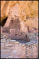 Kiva and dwellings, Long House, Wetherill Mesa. Mesa Verde National Park ( color)