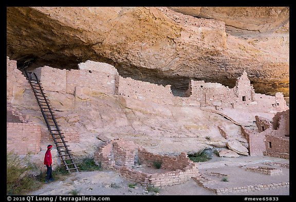 Visitor looking, Long House. Mesa Verde National Park, Colorado, USA.