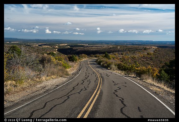 Wetherill Mesa Road. Mesa Verde National Park (color)