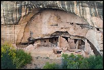 Oak Tree House, Chapin Mesa. Mesa Verde National Park ( color)