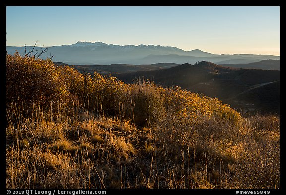Shrubs and mountains at sunrise from Park Point. Mesa Verde National Park (color)