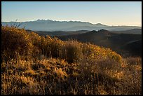 Shrubs and mountains at sunrise from Park Point. Mesa Verde National Park ( color)