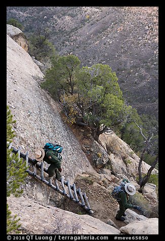 Park rangers descend ladder. Mesa Verde National Park, Colorado, USA.