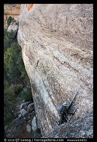 Park ranger on ladder along steep cliff leading to ruin. Mesa Verde National Park, Colorado, USA.
