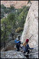 Tour participants negotiate cliff. Mesa Verde National Park ( color)