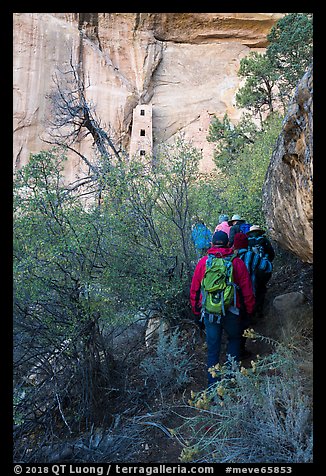 Tour participants hike to Square Tower House. Mesa Verde National Park (color)
