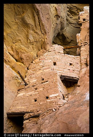 Crows Nest perched high in cliff crevice, Square Tower House. Mesa Verde National Park, Colorado, USA.
