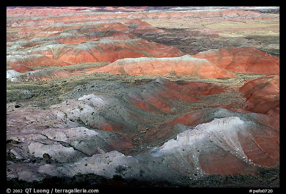 Painted Desert, morning. Petrified Forest National Park, Arizona, USA.