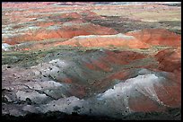 Painted Desert, morning. Petrified Forest National Park ( color)