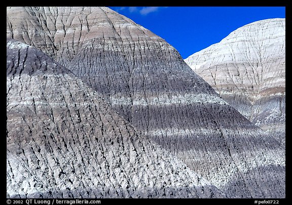 Erosion formations in Blue Mesa. Petrified Forest National Park, Arizona, USA.