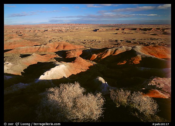 Ridges over badlands of Painted Desert, morning. Petrified Forest National Park, Arizona, USA.