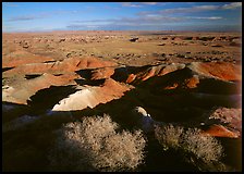 Ridges over badlands of Painted Desert, morning. Petrified Forest National Park, Arizona, USA.