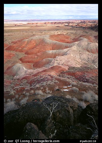 Mud, sandstone and volcanic ash color  painted desert, morning. Petrified Forest National Park, Arizona, USA.