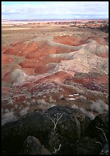 Mud, sandstone and volcanic ash color  painted desert, morning. Petrified Forest National Park, Arizona, USA. (color)