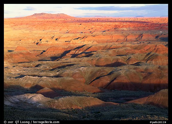 Painted Desert, early morning. Petrified Forest National Park, Arizona, USA.