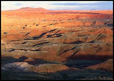 Painted Desert, early morning. Petrified Forest National Park ( color)