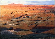 Painted Desert, early morning. Petrified Forest National Park ( color)