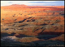 Painted Desert, early morning. Petrified Forest National Park, Arizona, USA.