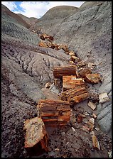 Triassic Era petrified logs and Blue Mesa. Petrified Forest National Park, Arizona, USA.