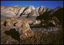 Petrified log section in Blue Mesa, afternoon. Petrified Forest National Park, Arizona, USA.