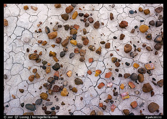 Close-up of mud cracks and colorful stones. Petrified Forest National Park, Arizona, USA.