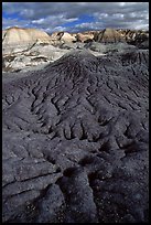 Bentonite and volcanic ash badlands in Blue Mesa, afternoon. Petrified Forest National Park, Arizona, USA.