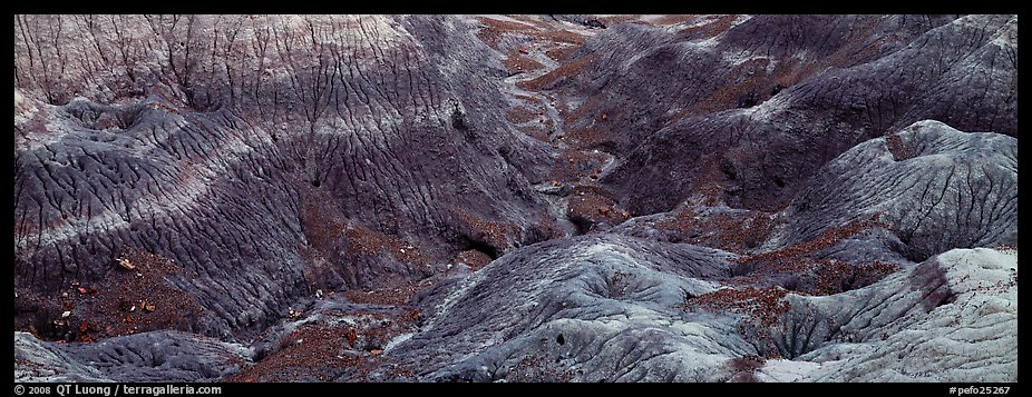 Multi-hued badlands. Petrified Forest National Park (color)