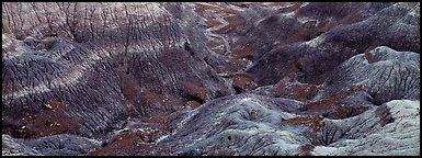 Multi-hued badlands. Petrified Forest National Park (Panoramic color)