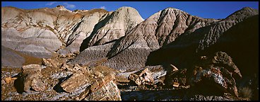 Petrified wood and badlands, Blue Mesa. Petrified Forest National Park (Panoramic color)