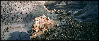 Petrified logs scattered in Blue Mesa badlands. Petrified Forest National Park (Panoramic color)