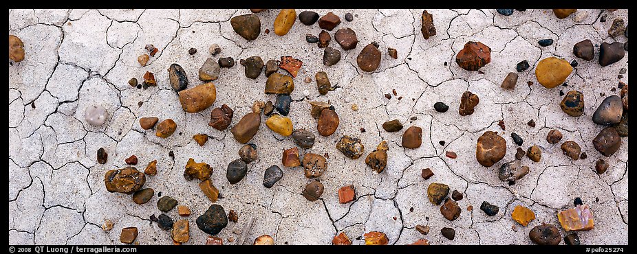 Dried mud cracks and multi-colored stones. Petrified Forest National Park (color)