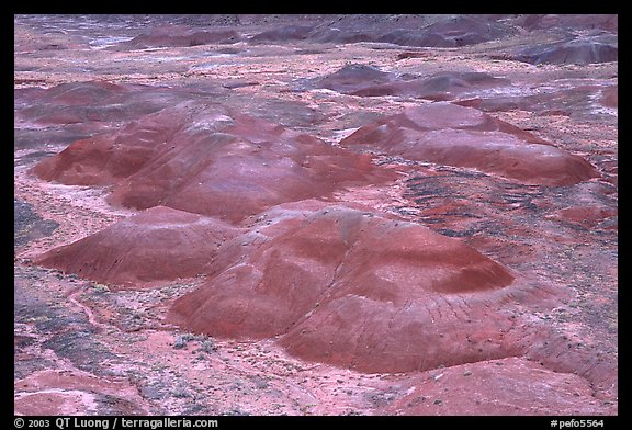 Red hills of  Painted desert seen from Tawa Point. Petrified Forest National Park, Arizona, USA.