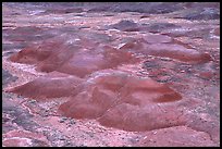 Red hills of  Painted desert seen from Tawa Point. Petrified Forest National Park, Arizona, USA.