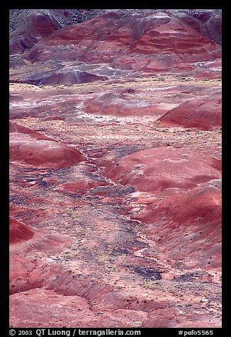 Red hills of  Painted desert seen from Tawa Point. Petrified Forest National Park (color)