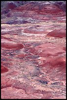 Red hills of  Painted desert seen from Tawa Point. Petrified Forest National Park ( color)