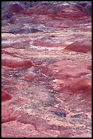 Red hills of  Painted desert seen from Tawa Point. Petrified Forest National Park, Arizona, USA.