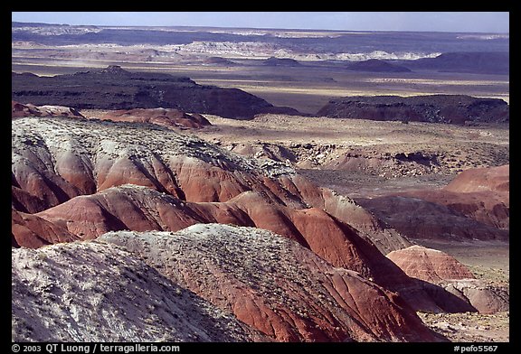 Painted desert seen from Lacey Point, morning. Petrified Forest National Park, Arizona, USA.