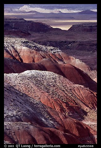 Painted desert seen from Lacey Point, morning. Petrified Forest National Park, Arizona, USA.